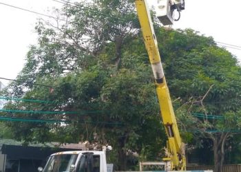 Mantenimiento eléctrico en los circuitos Ciudadela, Santo Domingo y 20 de Julio